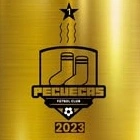 Escudo de Pecuecas F.C